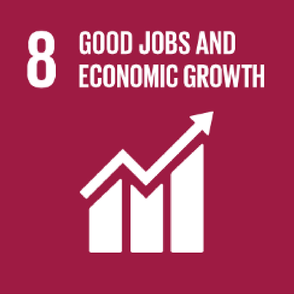 Sustainable Development Goals: SDG 8: Good jobs and economic grows