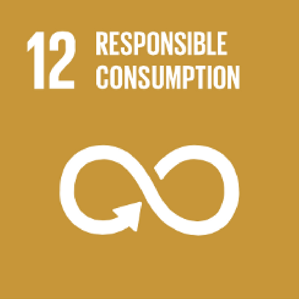 Sustainable Development Goals: SDG 12: Responsible consumption