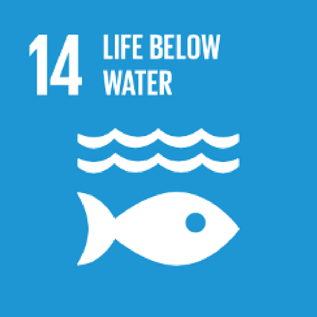 Sustainable Development Goals: SDG 14: Life below water