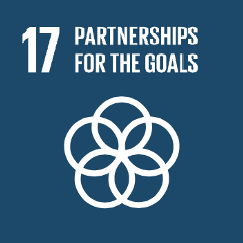 Sustainable Development Goals: SDG 17: Partnership for the goals